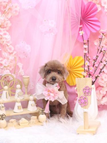 20250307くぅくん